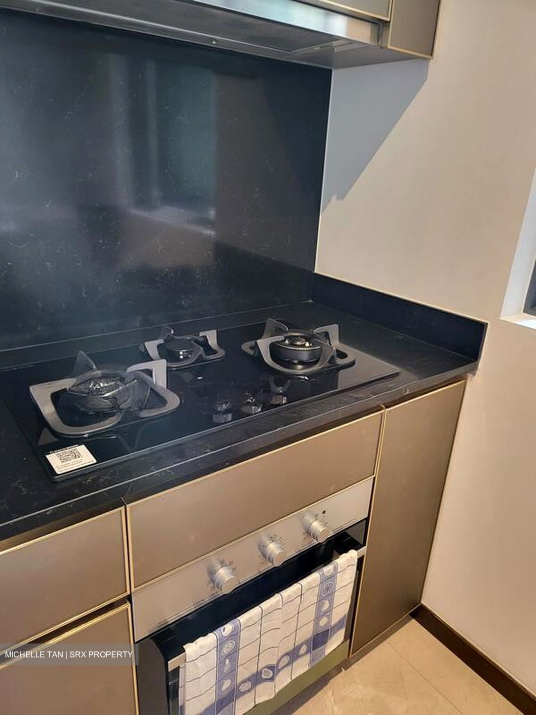 Normanton Park (D5), Apartment #497824401